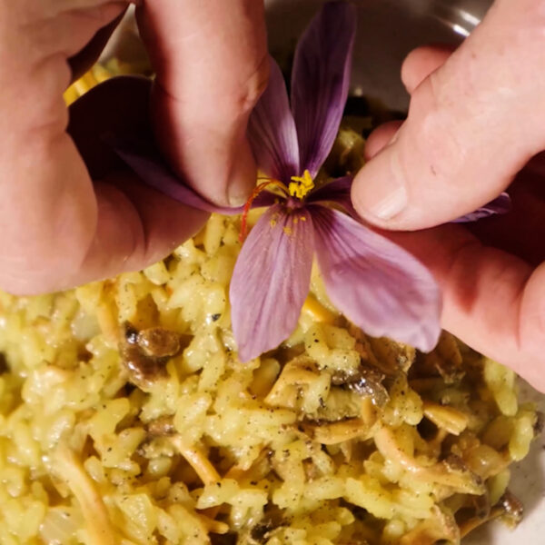 Cooking&Caring