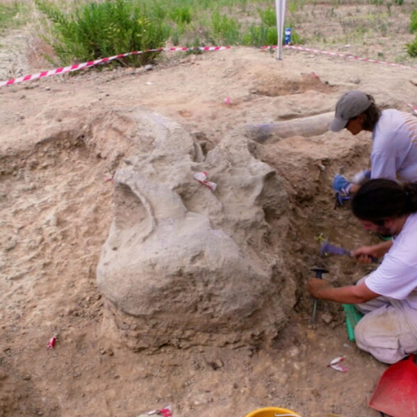 TRAILER: MAMMUTHUS - la storia di una scoperta, l'avventura di un comunità